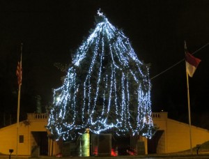 20131126_lightthenight_tree