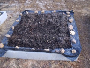 gregs garden