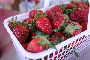 Strawberries are already on the market in parts of North Carolina.