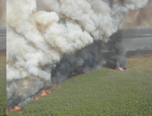 Aerial view of the Whipping Creek Fire in Hyde County.